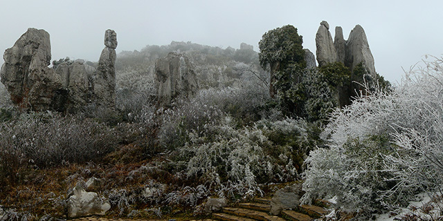 貴州屋脊韭菜坪風景名(míng)勝區(qū) 石林