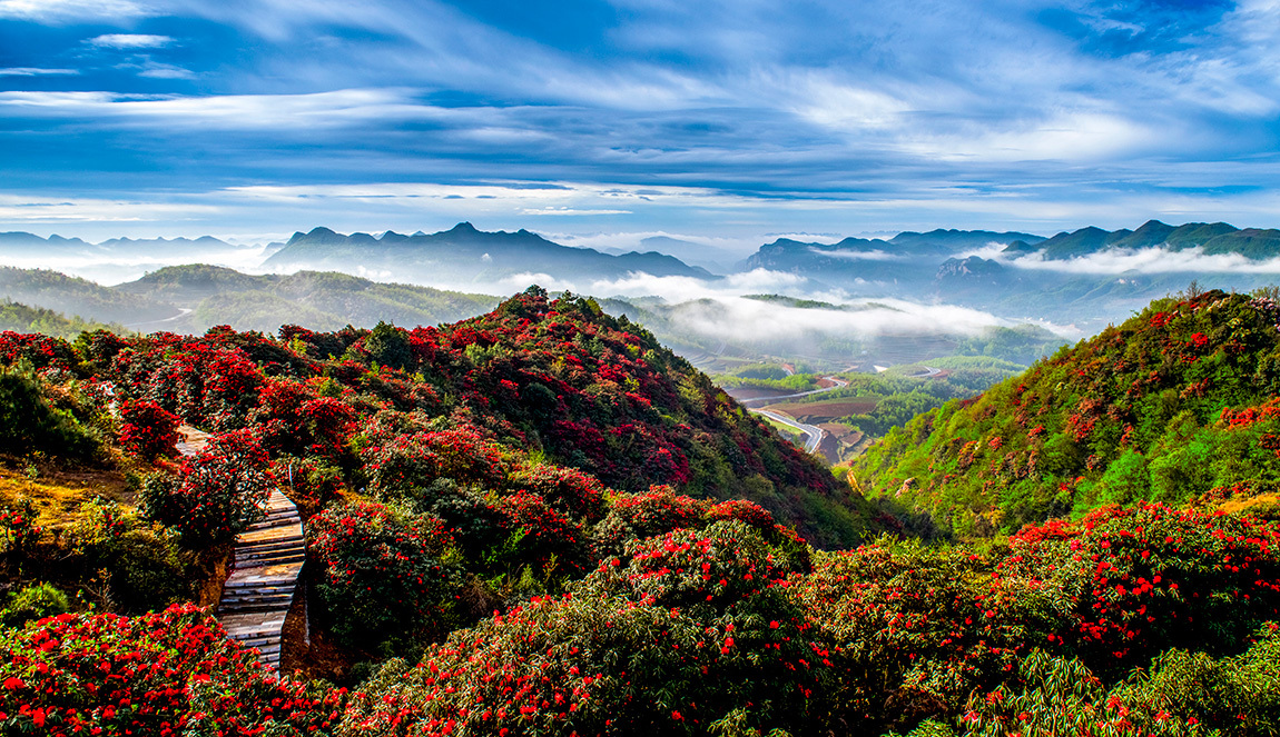 貴州省阿西裏西旅遊開發有(yǒu)限公(gōng)司